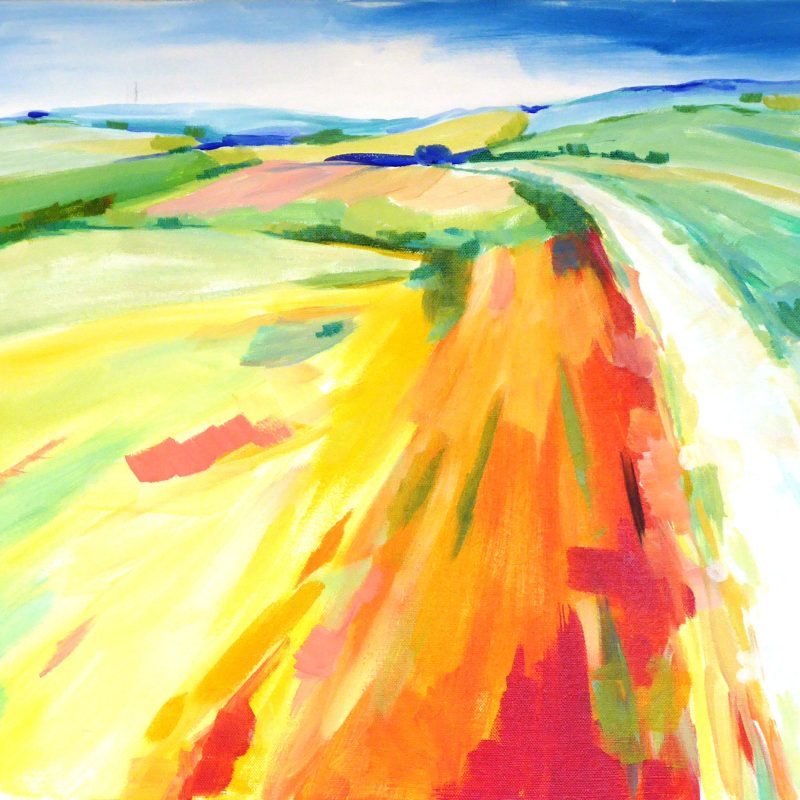 A landscape of a large field going on to the horizon.