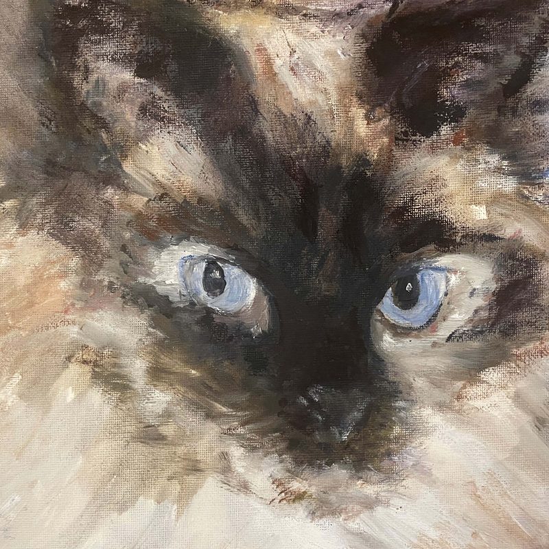 Close up painting of a cat's blue eyes staring out o a black face