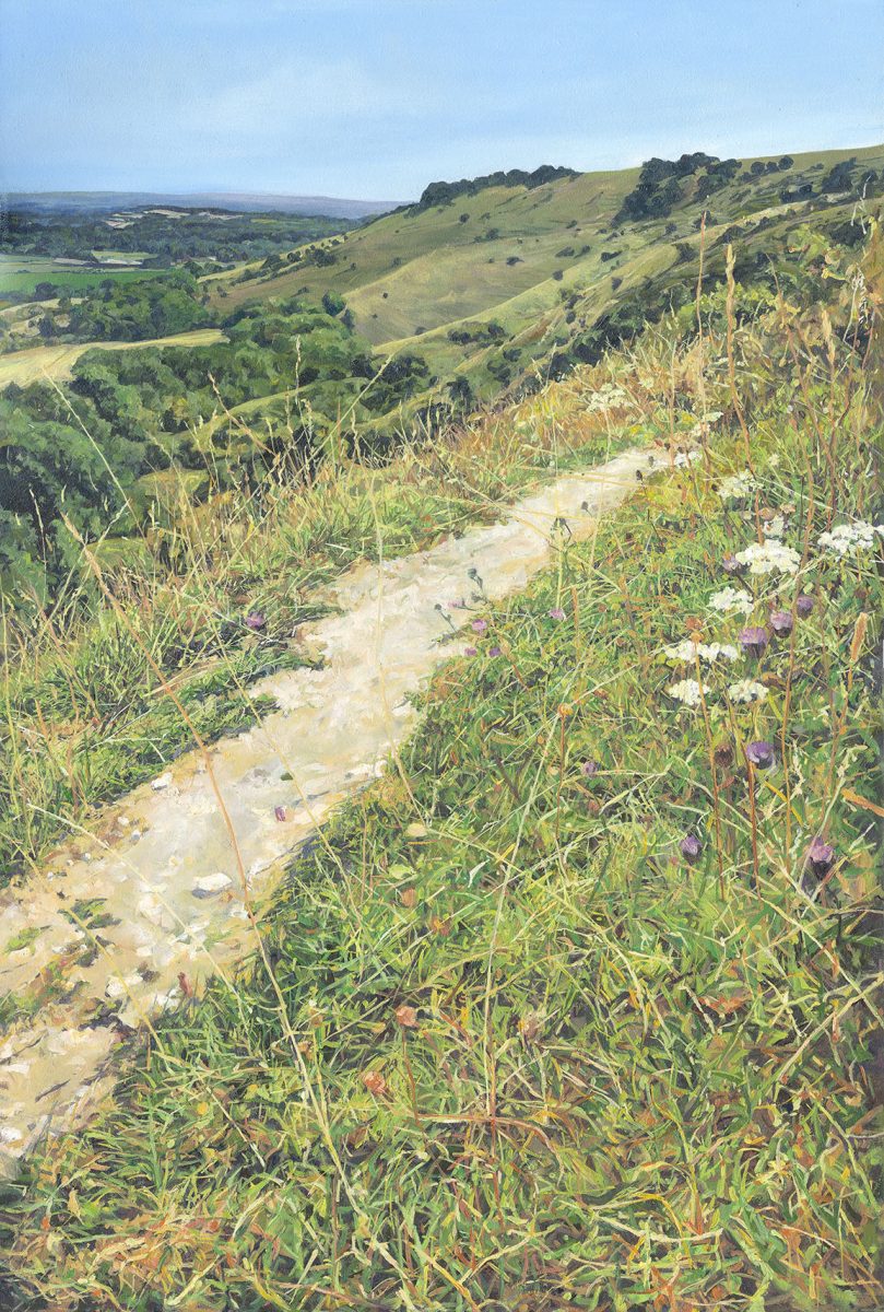 A chalky path winding up to Ditchling Beacon, with chalkland flowers along the way, blue skies overhead.
