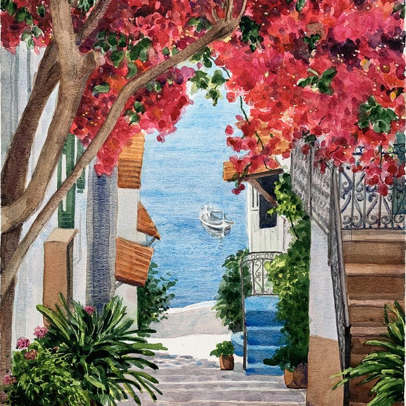 Bougainvillea above steps to the sea
