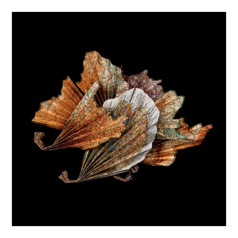 Fan shapes cut from a map of China,, piled together against a black background.