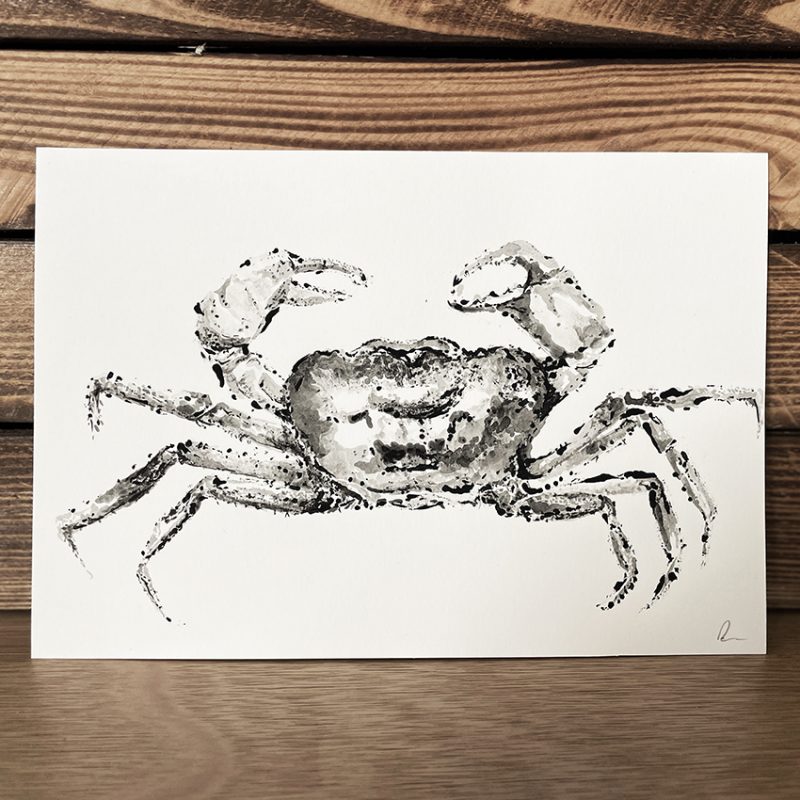 Crab illustration drawn in black Indian Ink on landscape white paper 