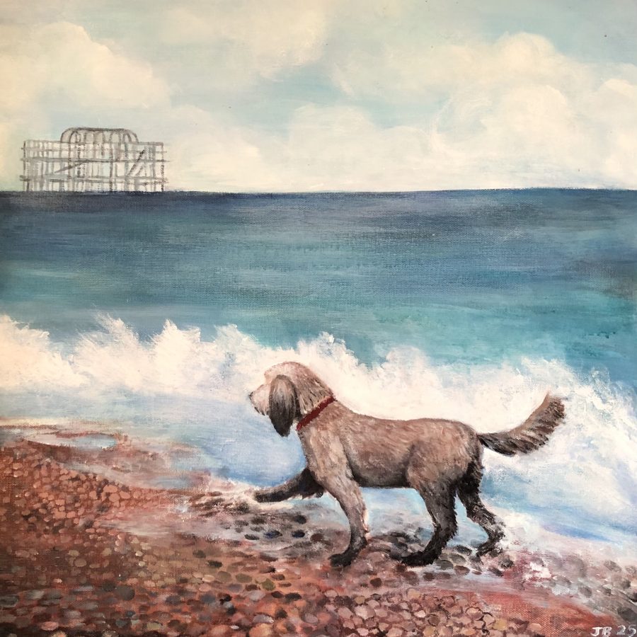A happy dog walking along the shore of Brighton beach in front of the West Pier