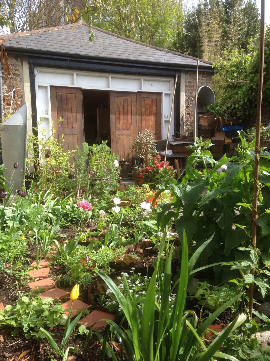 The Coach Houses garden 