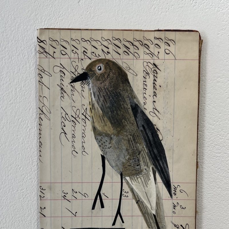 Collage of birds on used book covers