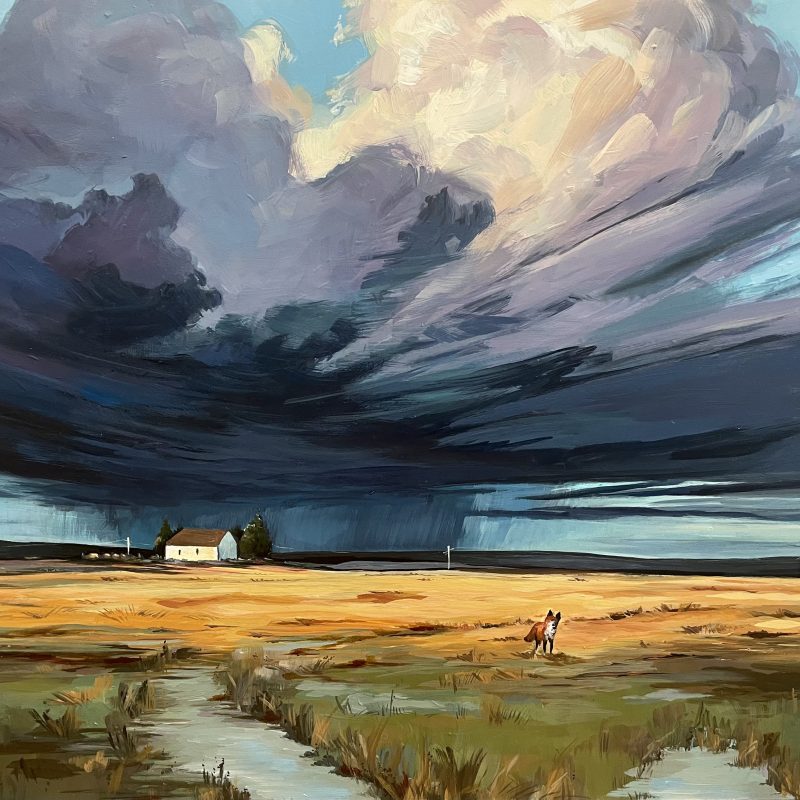 A fox among a gassy field, with a house in the background with a looming storm above 