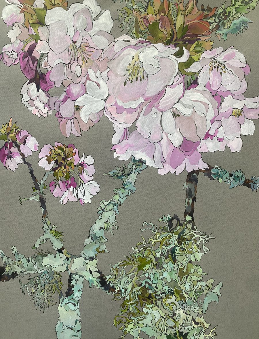 Cherry blossom and lichen