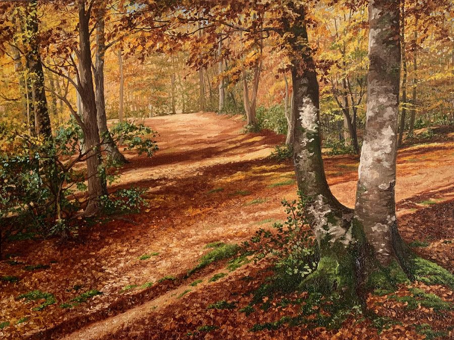 Woodland scene in autumn 