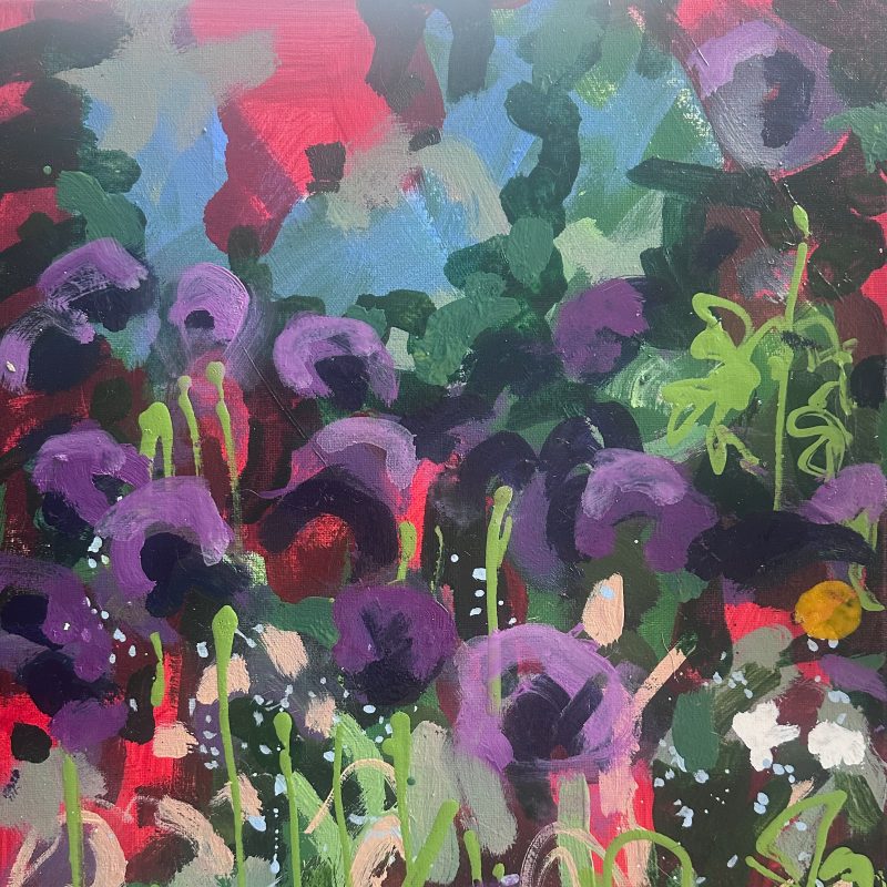 Purple flowers with long stems in a sea of foliage