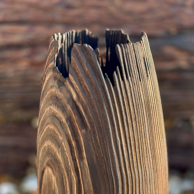 A wooden turned vessel/vase