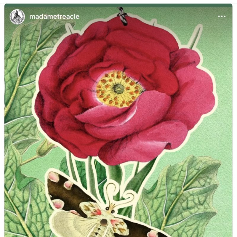 Card with collated peony flowers and a moth visiting the flower