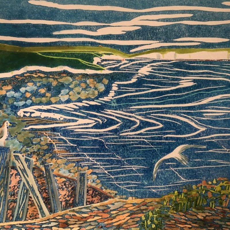 Two gulls talk to each other flying over the bay of different coloured pebbles and groins