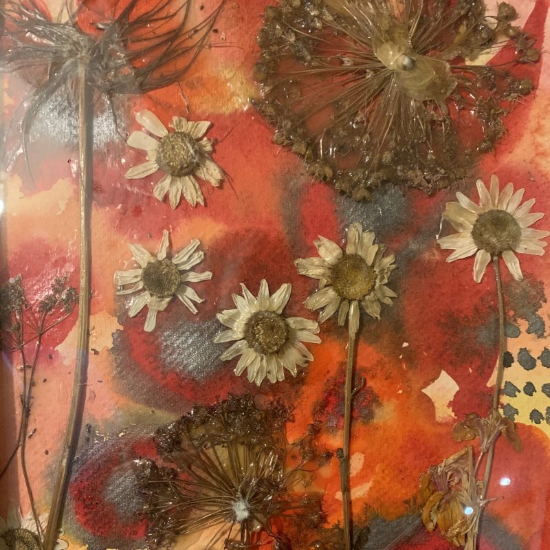 colourful flower image