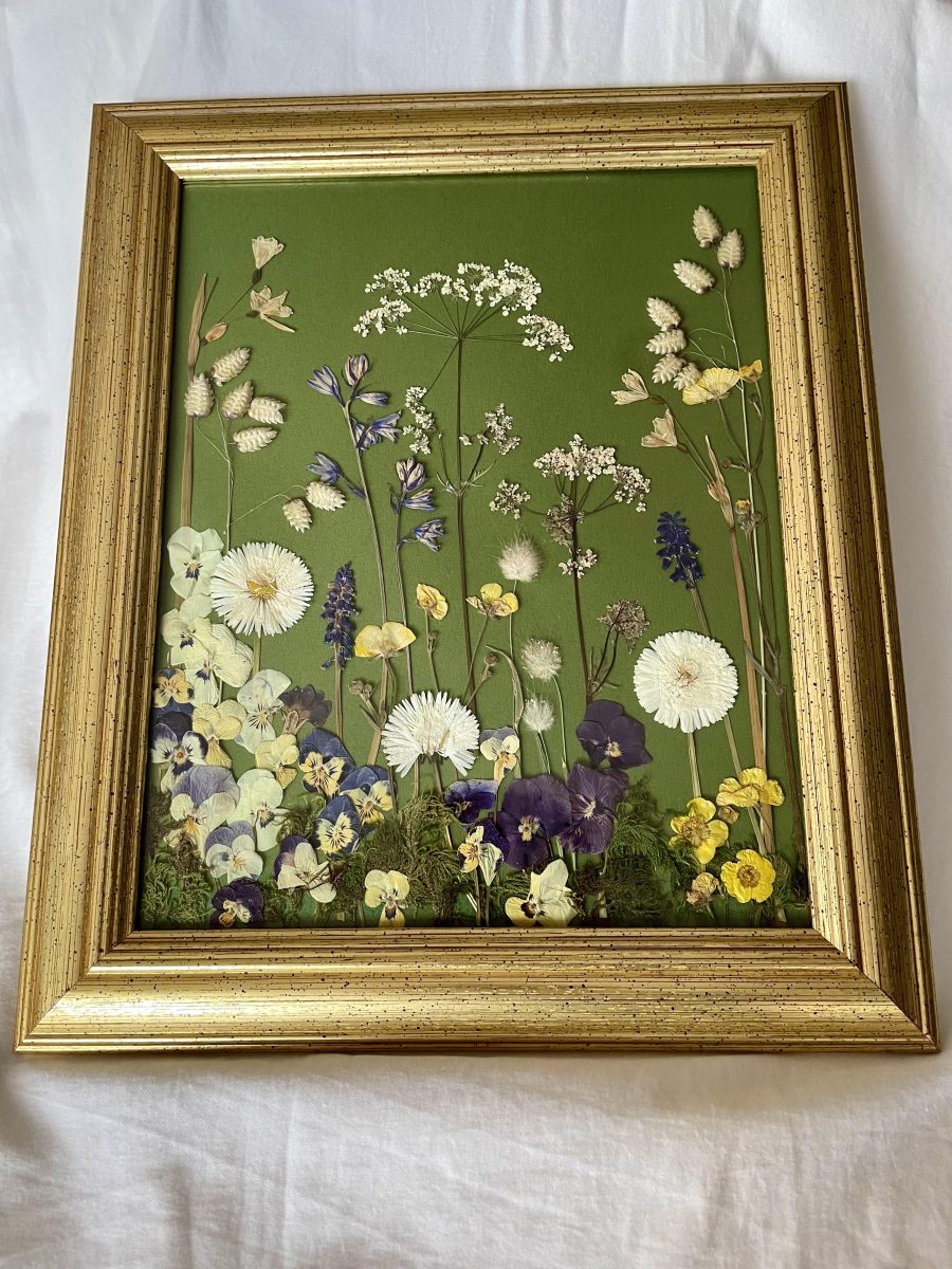 A selection of dried pressed grasses and flowers including violas and buttercups in a many colours. The frame is gold with a dark green background.