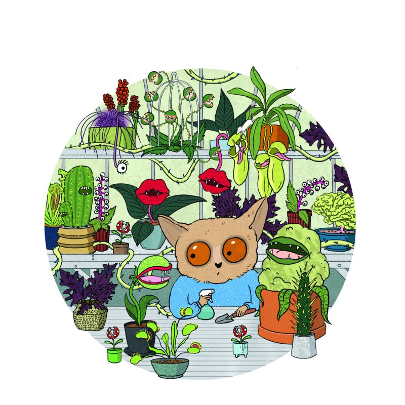 “Illustration of a bush baby tending its collection of unusual, dangerous-looking and largely carnivorous plants, in a greenhouse setting.”