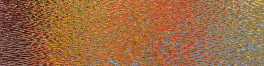 A kaleidoscope of colour and frequency.