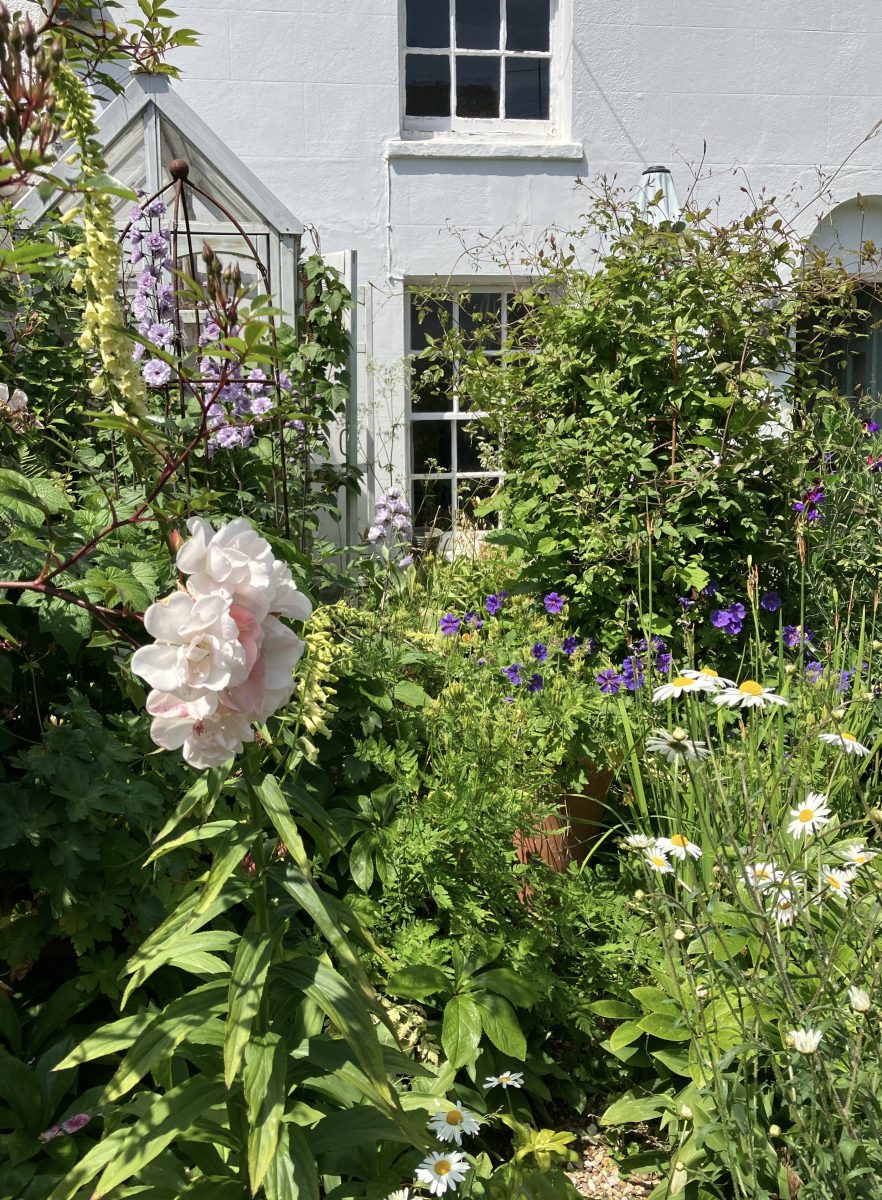 The cottage garden of the Garden House, North Gardens 