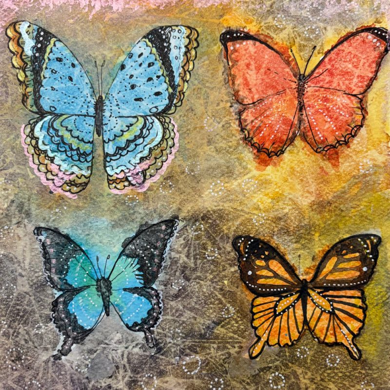 Colourful butterflies