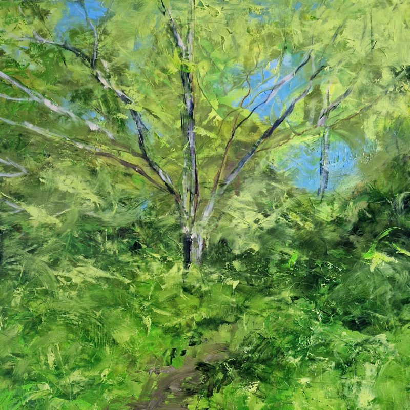 Bright leaves in springtime on a tree where a nghtingale sings.