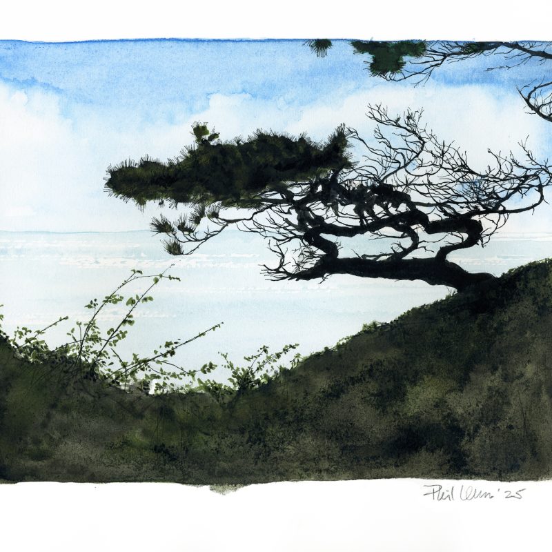 Outline of a tree over a sea backdrop. Ink and watercolour.