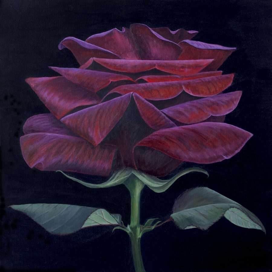 A group shot of a red rose oil painting, pottery and silver jewellery