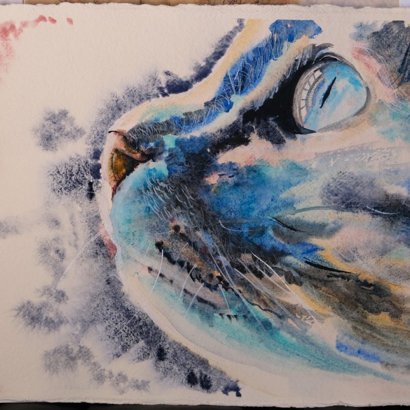 A watercolour painting of a cat's face, focusing on its bright blue eye. The artwork by Lucy Stearman (Wonky Cat Art) features bold brushstrokes and vibrant colours, with hints of red and blue in the background.