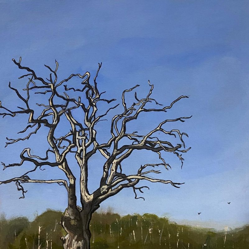 Lone Tree painting on a sunny day in the South Downs National Park.