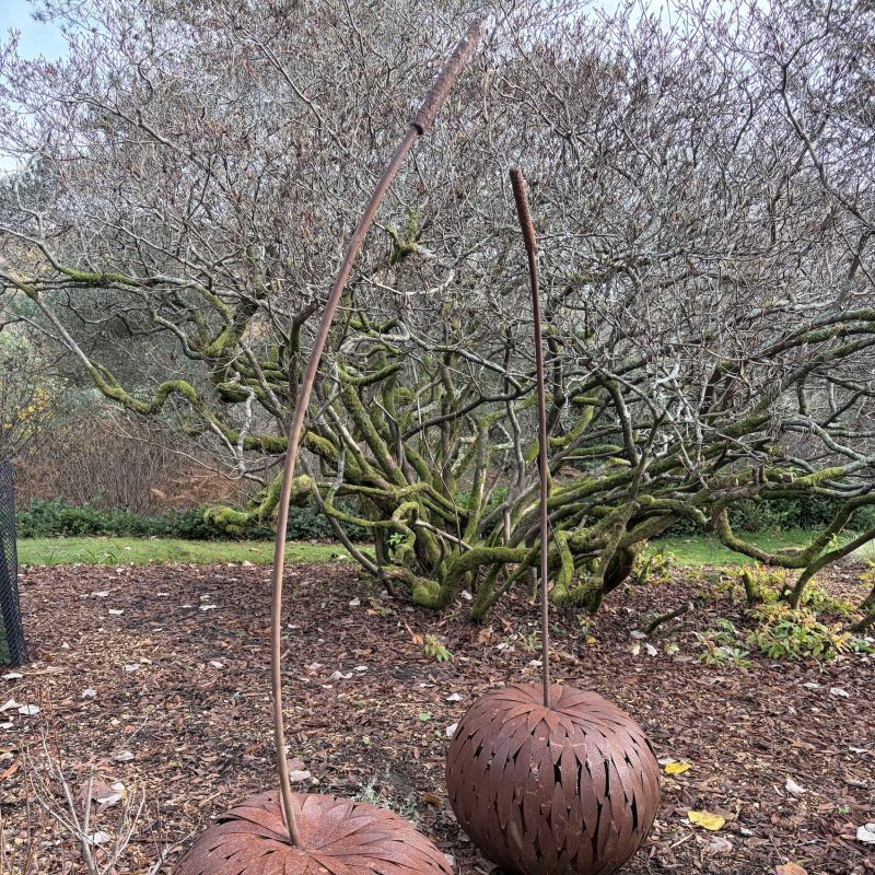Two large rusted and oxidised oversized cherry forms with stalks