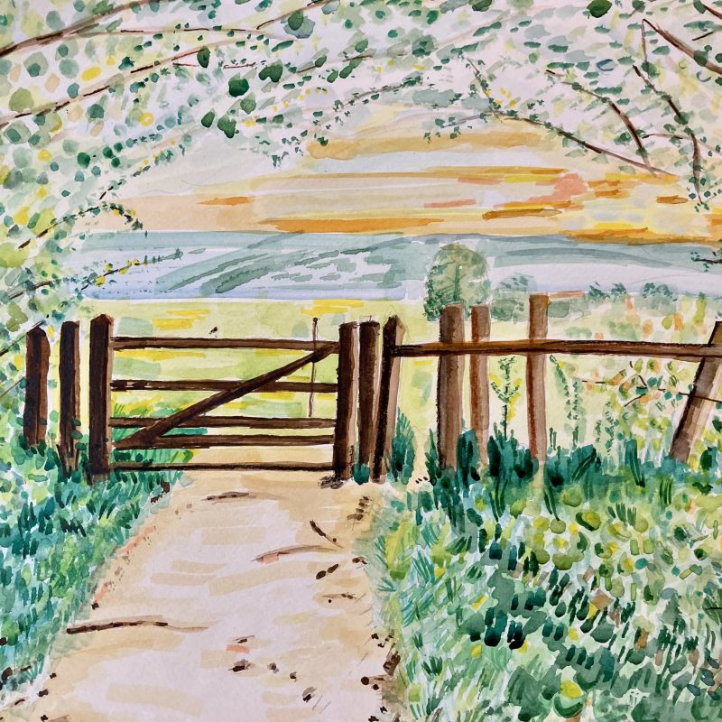 A field with a gate cutting across the scene