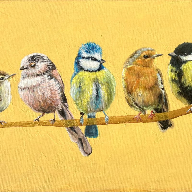 An oil painting of five birds sitting on a branch with a yellow background. A wren, longtailed tit, blue tit, robin and a great tit.