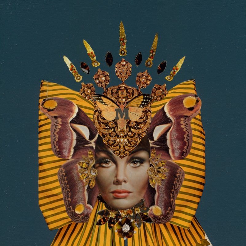 Collage created from cut paper images featuring a woman's head on Atlas Moth wings on a dark blue background. 