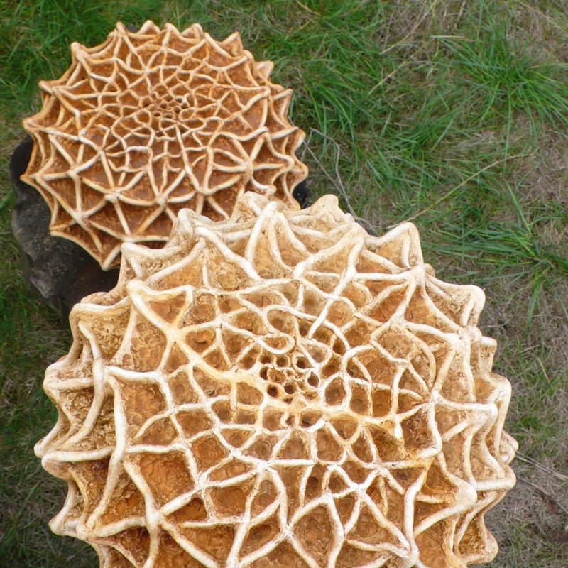 circular patterned sculptures reflecting butterfly eggs at scale 