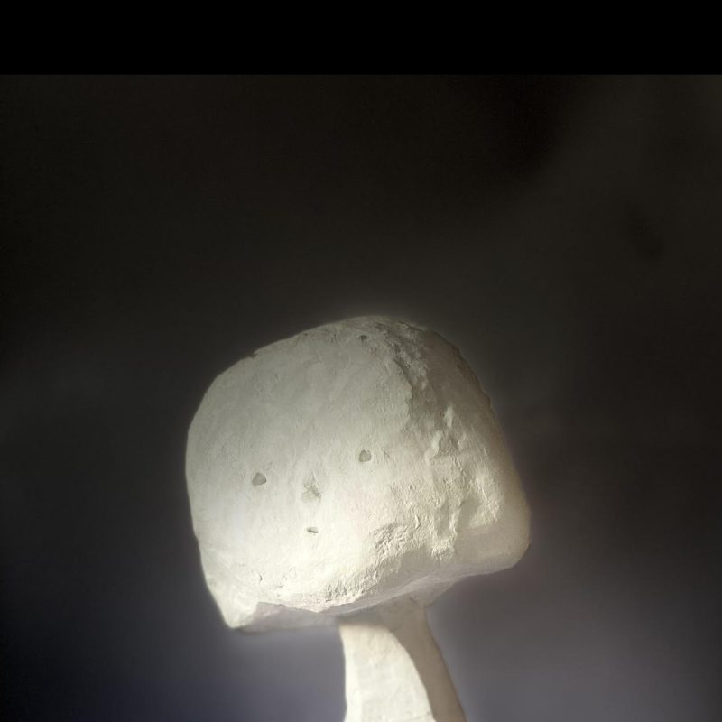 small figurative character of a head with a bobbed haircut and torso sculpture with deep red dress. The body of the sculpture is white natural clay finish.