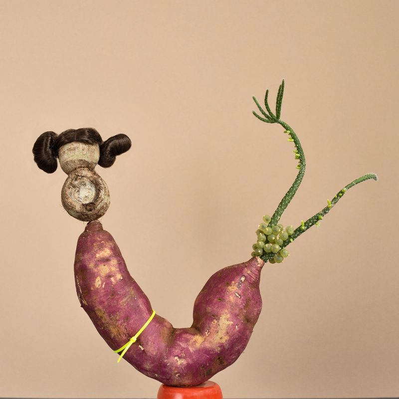 Photograph of sweet potatoe on an orange base with organic additions that create a fantastical arrangment .