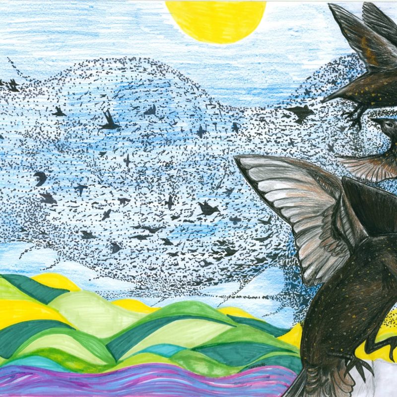 A colorful, imaginative illustration shows a sky filled with hundreds of tiny black birds forming the shape of a large human face in profile, looking to the right. The birds are densely clustered to create the facial features — forehead, nose, lips, and chin — while others scatter outward, giving a sense of motion and transformation.  On the right side of the image, three larger, detailed black birds fly in the foreground. Their wings are spread wide, with visible feather textures and subtle highlights in brown and gold tones, making them stand out from the smaller flock behind them.  The background features a bright blue sky with soft, horizontal strokes, and a bold yellow sun near the top. Below, rolling hills in layered shades of green, yellow, and teal stretch across the scene, creating a patchwork landscape. At the bottom, a band of purple and pink suggests water or a river, adding contrast to the greens above.  Overall, the image blends realism and abstraction, with the flock of birds forming a human face as the central, surreal focal point.