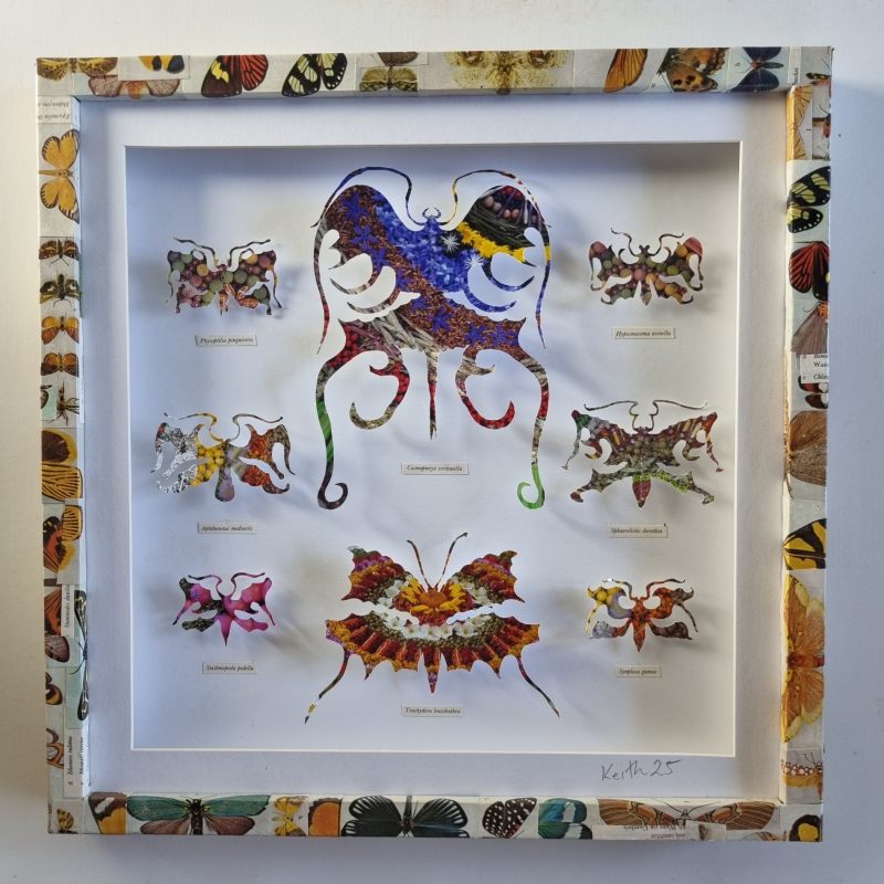 Collage of imaginary butterflies