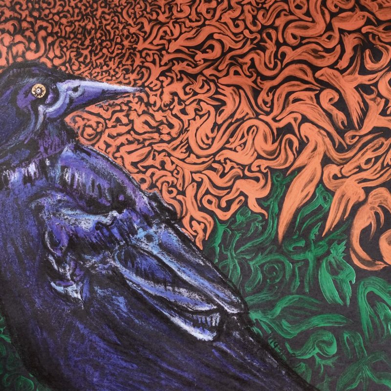 A magnificent crow against a green and orange background