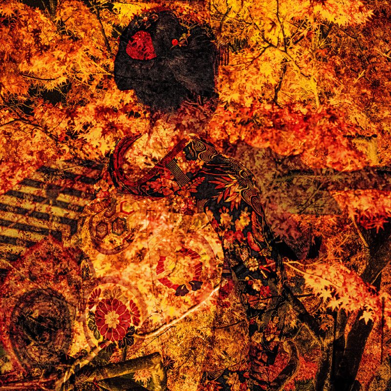 Multi exposure print of Japanese lady and autumnal leaves.