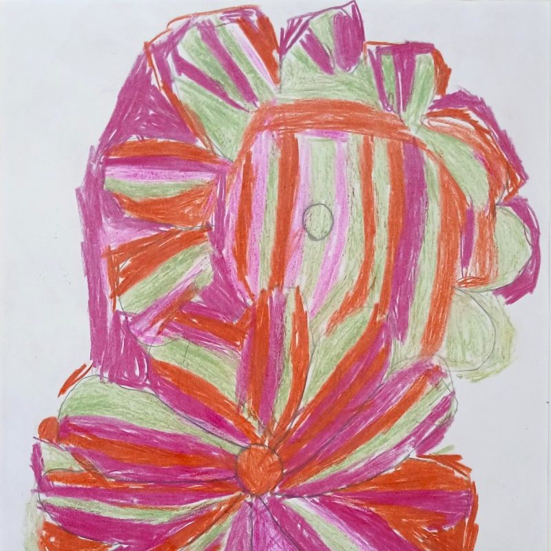 Two colourful flowers shown as one organism,  two shapes blending into each other.